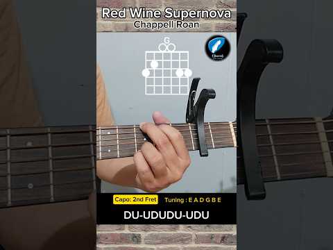 Red Wine Supernova Chappell Roan Guitar Chords Tutorial