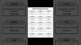 Networking protocols to master ASAP!#networking #technology #short