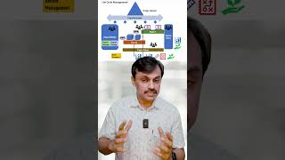 Governance Framework - Domains for PgMP Exam: A Quick Overview #pgmpizenbridge