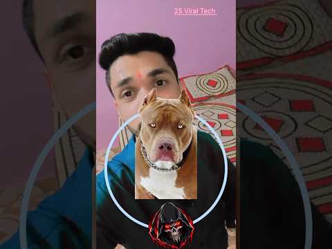जर्मनसाफाड़ , पिटबुल dog || shorts || #shortsfeed