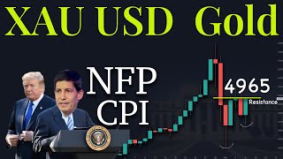 XAuUSD Gold Technical Analysis 9 to 13 February 2026