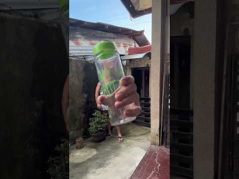 Rubber hand effect #funny