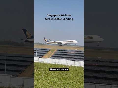 Singapore Airlines A350 Butter Landing | #a350 #singaporeairlines #landing #aviation #plane #airport