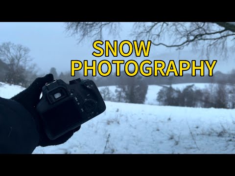 PHOTOGRAPHY IN THE SNOW!
