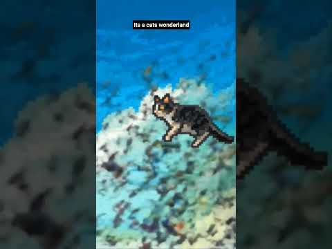 subsribe