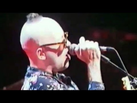 Cultura Popular (Siniestro Total)