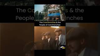 Core Branches = Evergreen Branches#shorts #memes #engineering