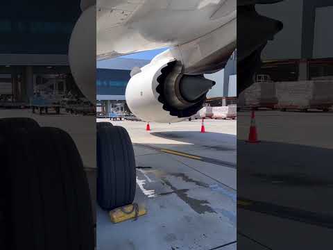 B787 walk around check,beautiful machine & beautiful weather,let’s get to work 🛫