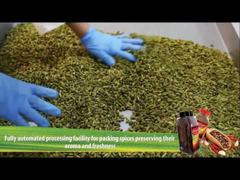 Reef Garden | Exhibition Video