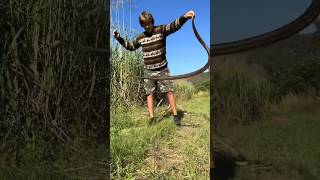 Australia is wild! #bigpython#australia#crazy#crocodile#snake#youtube#shorts#viralvideo#animals