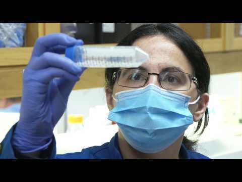 SPUTUM PROCESSING