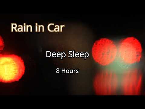 Rain in the Car at Night for Deep Sleep (8 Hours)