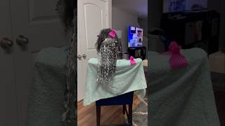 Day in the Life #minivlogs #dayinmylife #dailyroutinevlog #naturalhair #washday #vloggerlife #fypシ゚
