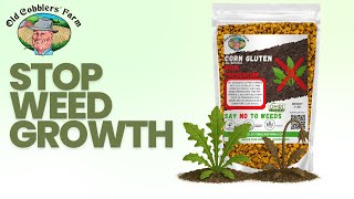 How to Use Corn Gluten for Natural Weed Control with Old Cobblers Farm™