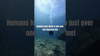 The ocean is scarier than space 😳🌊 #OceanFacts #CuriousMind