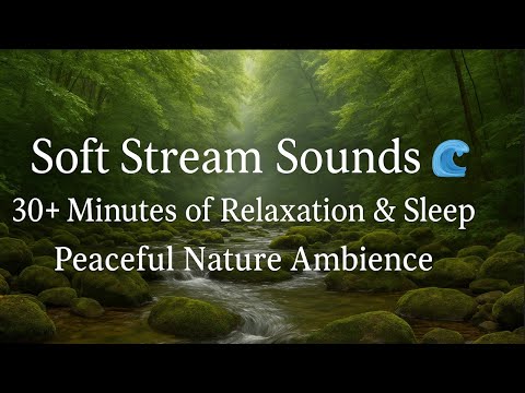 Peaceful Stream Sounds 🌊 | 30+ Minutes of Gentle Water Flow for Sleep & Relaxation