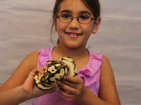 8 Year Old Girl Shows You 7 of Her 50+ Pythons! Subscribe to See the Rest!