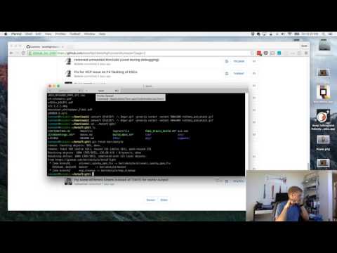Support: Updating Betaflight from Git