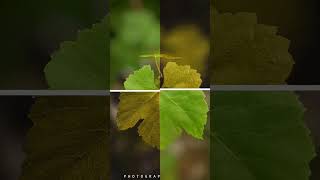 Before After Photo Edit