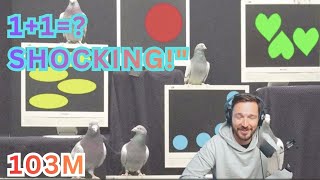 "Pigeons Solve Math Problems BETTER Than You? 🤯 #AnimalGenius"