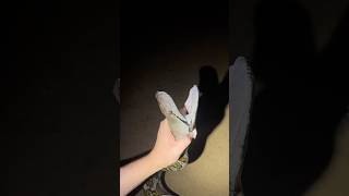 Biggest snakes I’ve yoinked! #snake#animals#wildlife#crazy#nature#anaconda#python#shorts#youtube