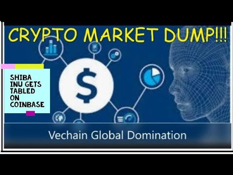 Crypto Market Fears; Vechain global domination; Shib listing stalled