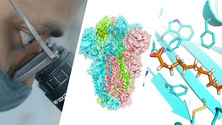 A new drug target in the fight against COVID-19