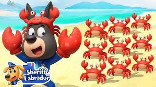 Crabs Are Coming | 🌊 WaterCity Mystery | Kids Cartoon | Safety Rules | Sheriff Labrador