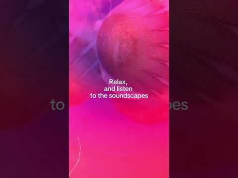 Calming Jellyfish Meditation Music | Deep Ocean Relaxation #Shorts #deepoceanrelaxation