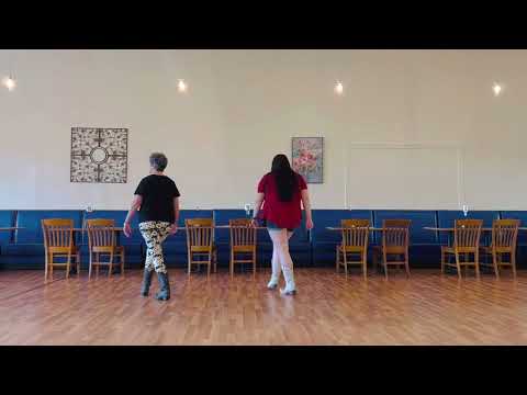 I Need A Good Bartender Line Dance Quick DEMO