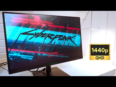 Titan Army P2510S Gaming Monitor Review