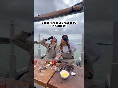 1/5 - The Oyster Farm Tour in Coffin Bay South Australia #southaustralia #travelaustralia #shorts