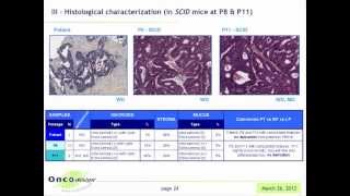 Preclinical phase II trial with a cohort of patient-derived xenograft cancer models