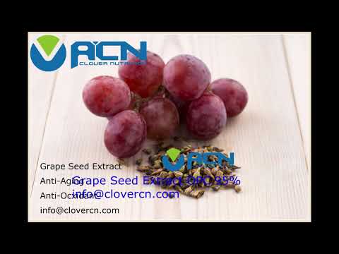 ACNS00199 Grape Seed ExtractOPC 95%-A Clover Nutrition Inc