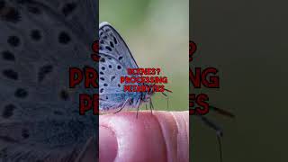 Transparent AI Portrait Backgrounds The Process Explored