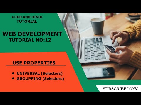 How to use universal selector and grouping selectors  |front end web Development complete course|