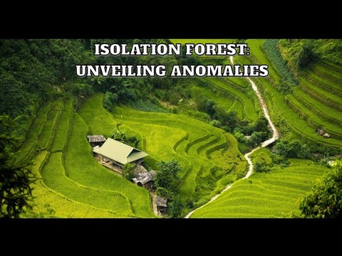 Isolation Forest Unveiling Anomalies