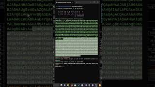 Hoaxshell for Windows Reverse Shell Payloads #pentesting #codingsession #programming