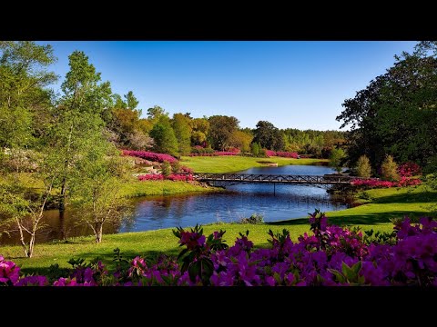 Healing Music - Beautiful Relaxing Music for Stress Relief, Sleep and Meditation