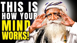 Change Your Life With ETERNAL WISDOM from Sadhguru #4