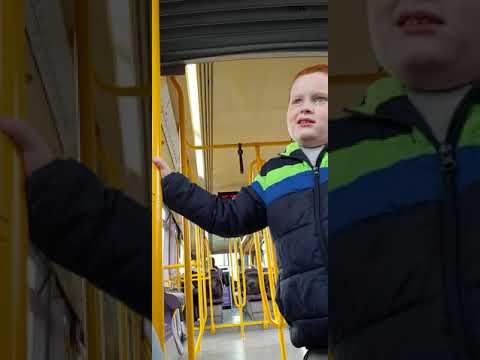Luas
