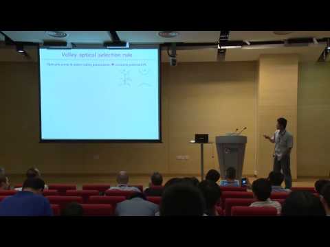 Talk given by Wang Yao
