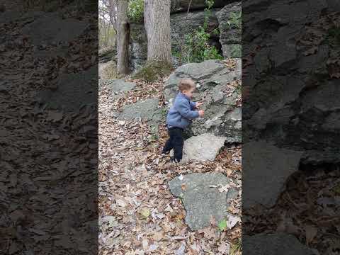 Rock Crawler