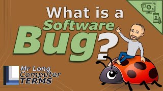 Mr Long Computer Terms | What is a Software Bug?