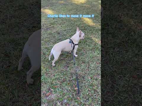 Let us help you move it move it #floridarealtors #floridaliving #floridarealestate #florida