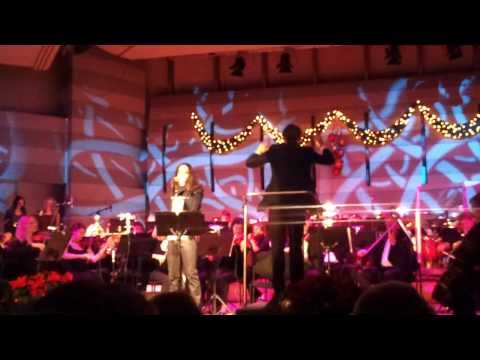 Jeronimas Milius. Roko balades 2012 12 26 Vilnius