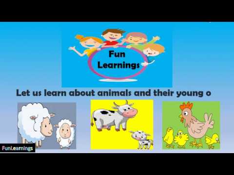 ANIMALS AND THEIR YOUNG ONES by KIDS Fun Learnings