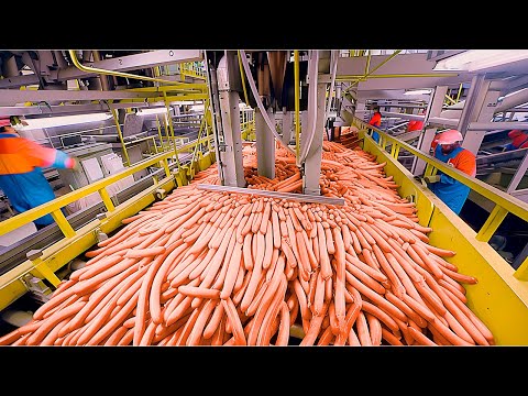 How Its Made: Frankfurters, Wieners, Red Hots or simply Hot Dogs!