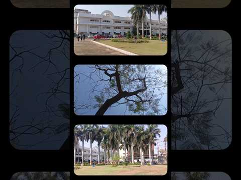 My journey has a video editor ✨ #careercollegebhopal