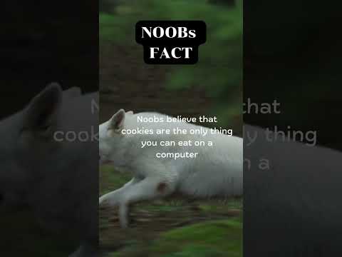 Noobs FACT !!! 1